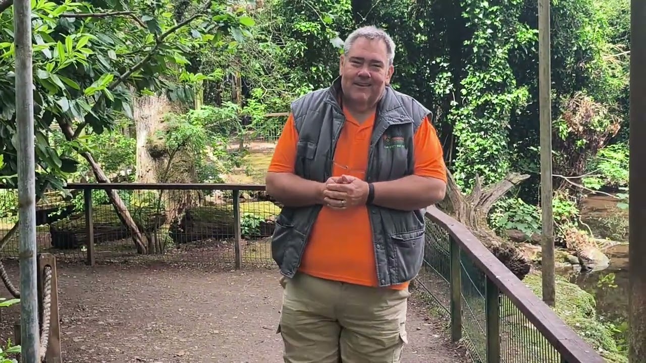 Exploring Tranquility: The Bioactive Planted Aviary